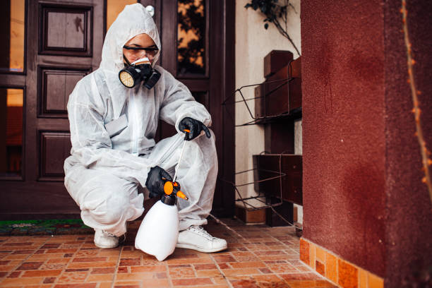 Reliable Cockroach Control contractor in Madison Heights, VA by Nex Pest Control
